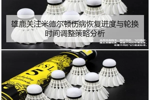 雄鹿关注米德尔顿伤病恢复进度与轮换时间调整策略分析